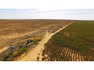 Property photo 9 - IRRIGATED FARMLAND AUCTION - 640+/- ACRES OFFERED IN 1 TRACT IN HARTLEY CO., TEXAS